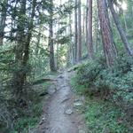 steil führt der Weg durch den Wald hinauf