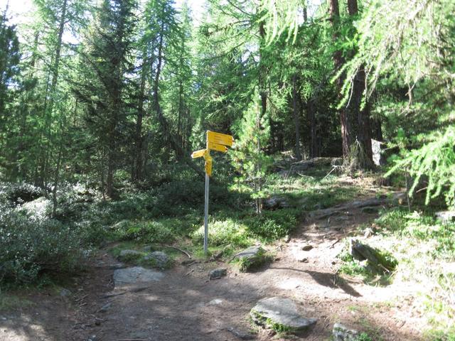 bei der Weggabelung Punkt 1997 m.ü.M. trennen sich die Wege...