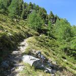 auf einen guten und breiten Weg wandern wir weiter aufwärts Richtung Punkt 2257 m.ü.M.