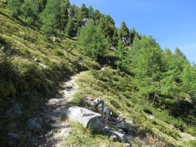 auf einen guten und breiten Weg wandern wir weiter aufwärts Richtung Punkt 2257 m.ü.M.