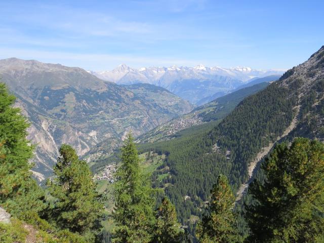 Blick nach Gasenried (zwischen den Lärchen) und Grächen