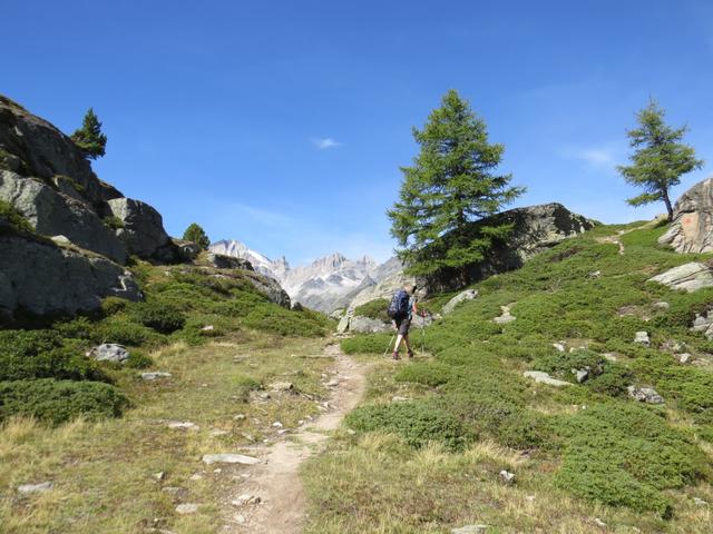 bei Punkt 2257 m.ü.M. erreichen wir den freien Bergrücken