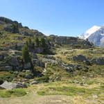 weiter über offenes Gelände geht es nun zu Punkt 2343 m.ü.M. oberhalb vom Grathorn