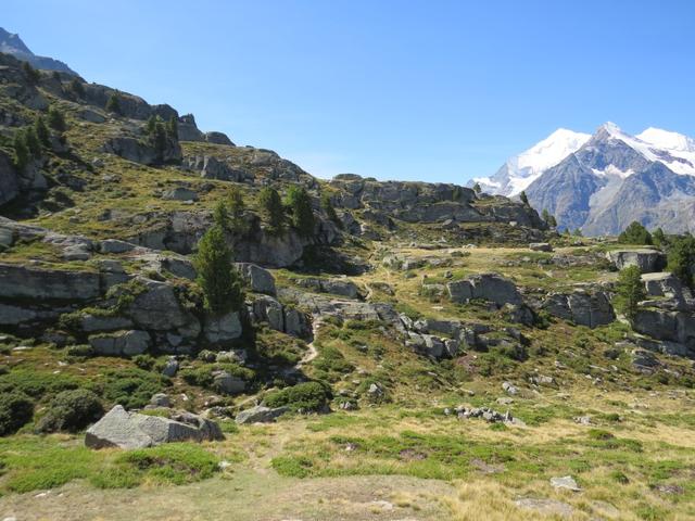 weiter über offenes Gelände geht es nun zu Punkt 2343 m.ü.M. oberhalb vom Grathorn