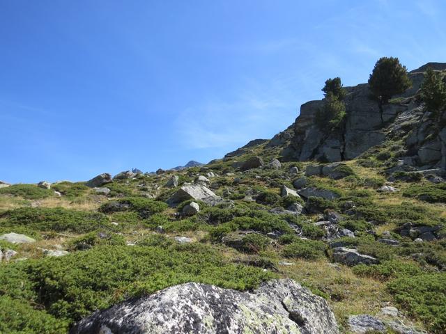 hier dreht der Bergweg nach links und führt in Serpentinen über einen Grashang zu einer Kanzel bei Punkt 2474 m.ü.M. hinauf