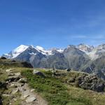 was für eine Aussicht während dem aufwärtslaufen! Weisshorn, Brunegghorn, Bishorn und die Barrhörner