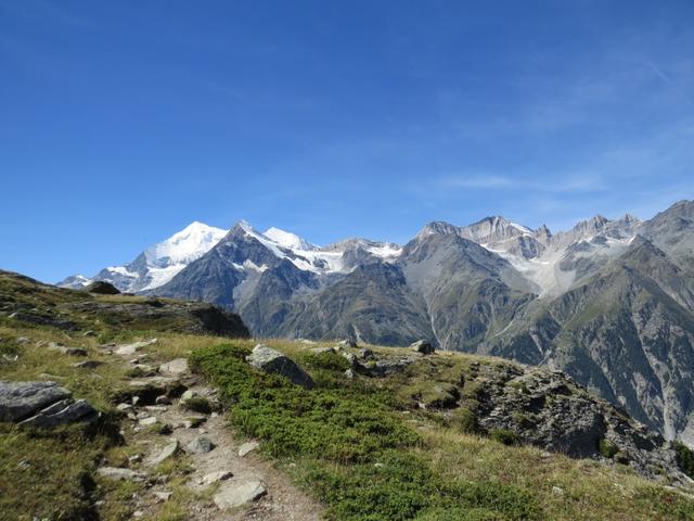 was für eine Aussicht während dem aufwärtslaufen! Weisshorn, Brunegghorn, Bishorn und die Barrhörner