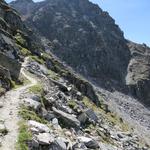 ab hier wird der Weg alpiner und wird es bleiben bis zur Europahütte