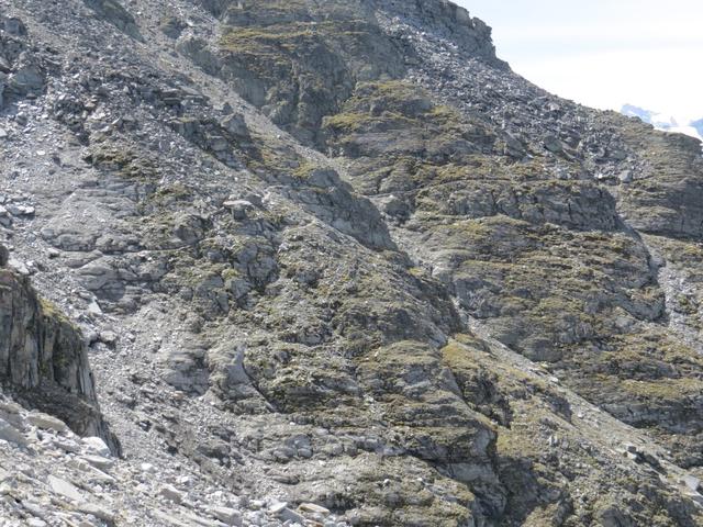 in grossen Bogen durchschreiten wir das ganze unwegsame und beschwerliche Tal. Seht ihr den Weg?