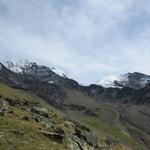 Blick hinauf Richtung Lenzspitze und Dom