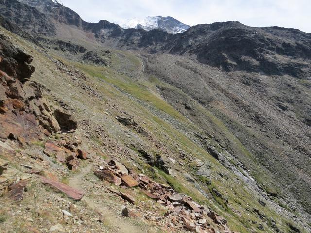 der landschaftlich einmalige Höhenweg an der Ostflanke des Mattertals, bietet einen spannenden Verlauf mit viel Auf und Ab