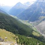 Tiefblick ins Mattertal mit Blick Richtung Täsch-Zermatt