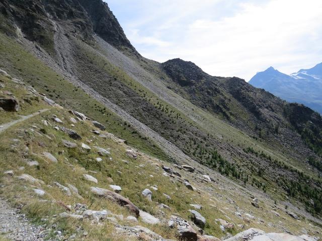 der zweite Birchbach der kurz danach vor uns auftaucht, hat es in sich