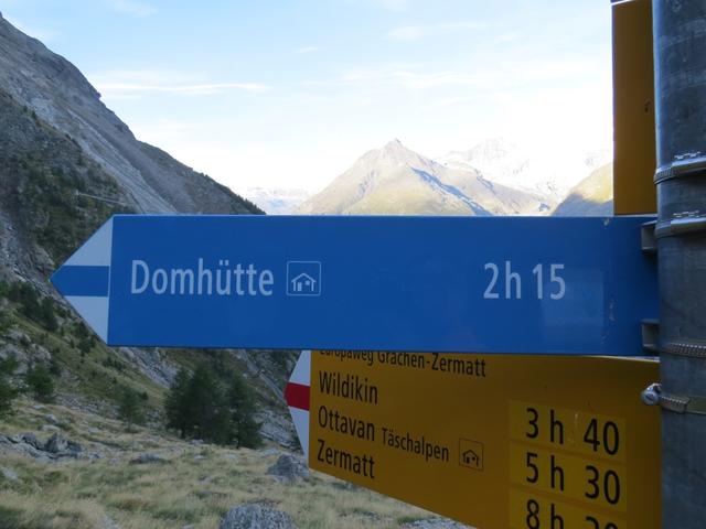 hier biegen wir links ab Richtung Domhütte