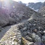 bevor wir eine Pause einlegen, wollen wir noch dem Festigletscher einen Besuch abstatten