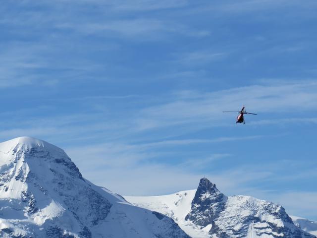 die Air Zermatt im Einsatz. Im Hintergrund Breithorn und Klein Matterhron