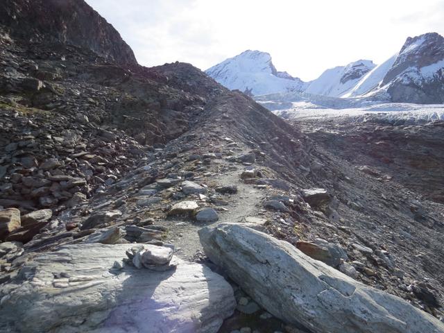 von der Hütte folgt man erst klaren, dann weniger ersichtlichen Wegspuren ostwärts einer Seitenmoräne des Festigletscher