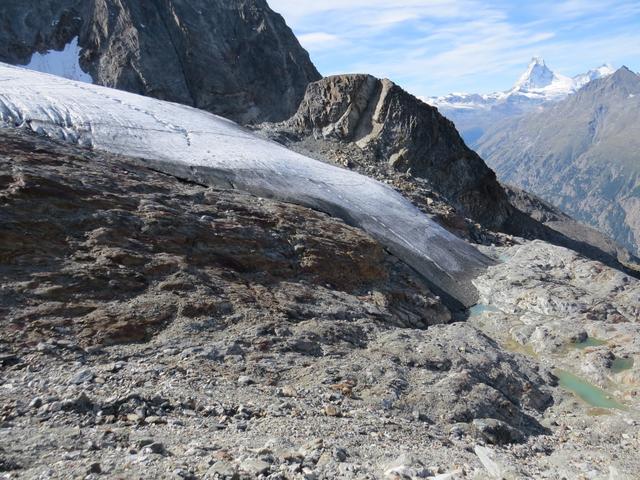 Blick auf die Gletscherzunge des Festigletscher. Fels und Eis soweit das Auge reicht