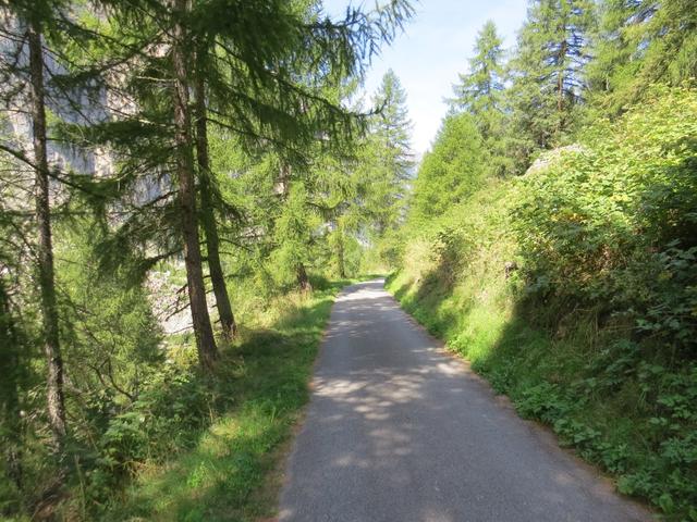 wir verlassen den schönen Wald, biegen kurz danach links ab und erreichen die ersten Häuser von Randa