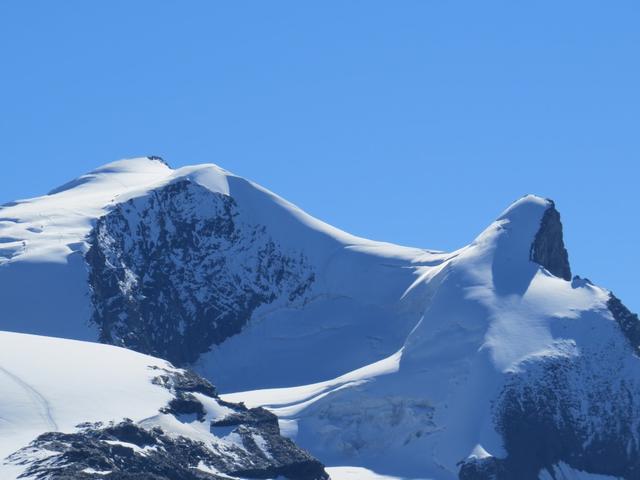 Blick zum Strahlhorn 4190 m.ü.M. und Adlerhorn 3988 m.ü.M.