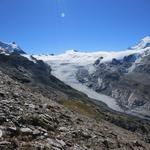 Blick auf den Findelgletscher und Weissgrat