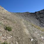 der Wanderweg führt nun bis fast in die Falllinie des Gipfels