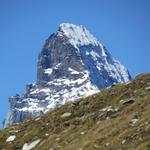 ganz frech schaut der Gipfel des Matterhorn hinter dem Oberrothorn hervor