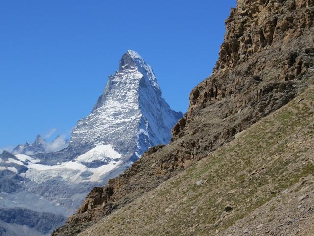 wie ein Diva schiebt sich das Matterhorn ins Rampenlicht