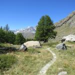 der Gratweg mündet in ein Natursträsschen das in grossen Bogen uns zum Grindjisee führt