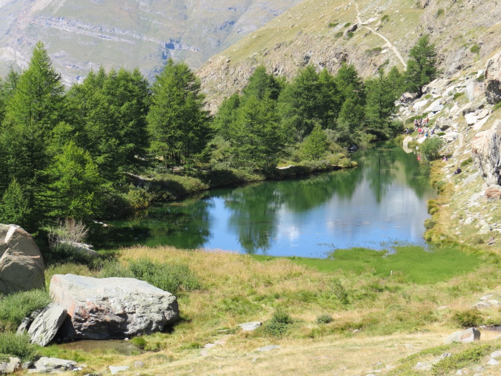 beim Grindjisee 2334 m.ü.M. die Natur einfach super schön