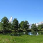 ... und ergeben durchweg sehr schöne Bilder, wie hier beim Grindjsee