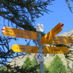 Wegweiser beim Grindjisee 2334 m.ü.M. Weiter geht unsere Wanderung diesmal zum Grünsee