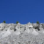 riesige Moränenhügel zeigen uns auf, das vor nicht allzu langer Zeit, hier der Findelgletscher war