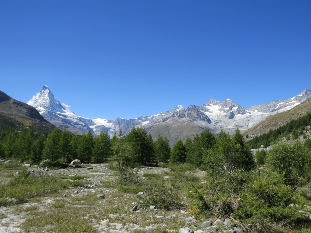 was für ein Aussicht! Matterhorn, Dent d'Hérens, Dent Blanche, Ober Gabelhorn und Wellenkuppe