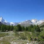 was für ein Aussicht! Matterhorn, Dent d'Hérens, Dent Blanche, Ober Gabelhorn und Wellenkuppe