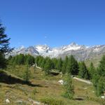 Blick auf Dent Blanche, Ober Gabelhorn, Wellenkuppe und Zinalrothorn