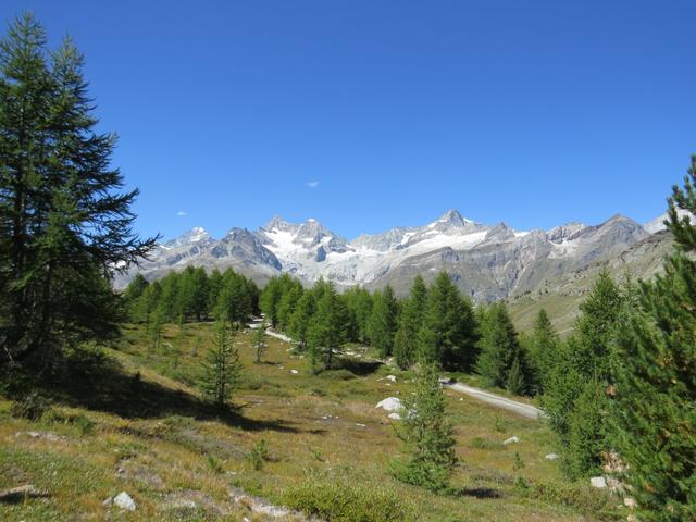 Blick auf Dent Blanche, Ober Gabelhorn, Wellenkuppe und Zinalrothorn