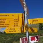 Wegweiser beim Grünsee 2300 m.ü.M. unser Tagesziel die Riffelalp, rückt näher