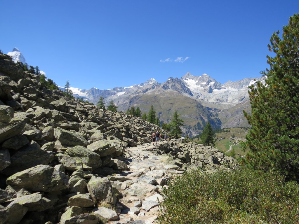 der vielbesuchte Wanderweg führt nun durch Geröllhänge in den Lärchenwald hinab 2231 m.ü.M.