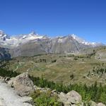 sehr schöner Blick auf die Findelalp