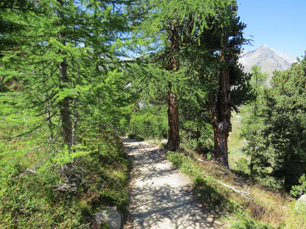 was für ein schöner Abschluss dieser Wanderung