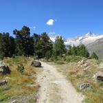 der Wanderweg zur Riffelalp ist einfach magisch