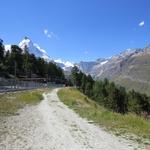 wir haben die Station der Gornergratbahn auf der Riffelalp 2211 m.ü.M. erreicht