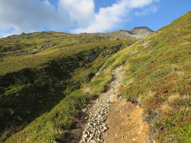 Blick hinauf zum Pazolastock, oder auf romanisch Piz Nurschalas