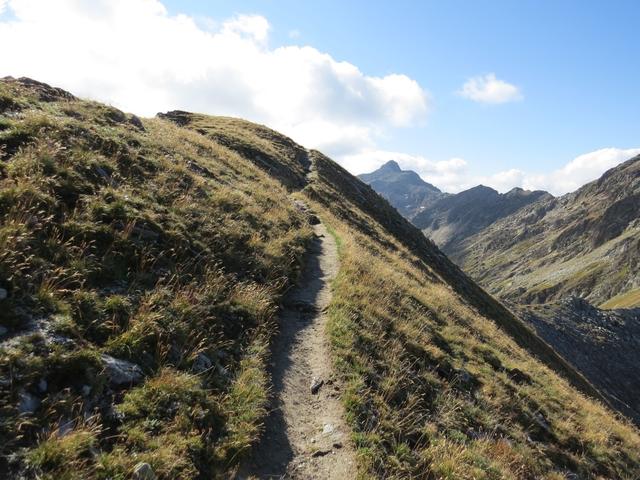 kurz vor der Weggabelung bei Punkt 2743 m.ü.M.