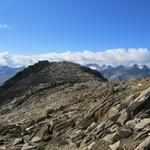 weglos wandern wir nun zum Gipfel des Rossbodenstock