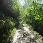 wir verlassen das Dorf beim Ostausgang und folgen einer Naturstrasse, leicht ansteigend hinein ins Val di Prato