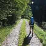 einst stiegen hier die Älpler durch den dichten Wald auf ihre hoch gelegenen Weiden...