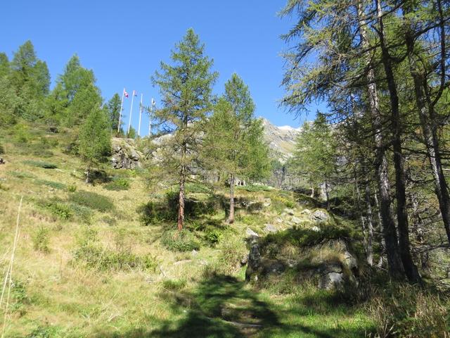 ...die Alpe Campo Tencia und zeitgleich...