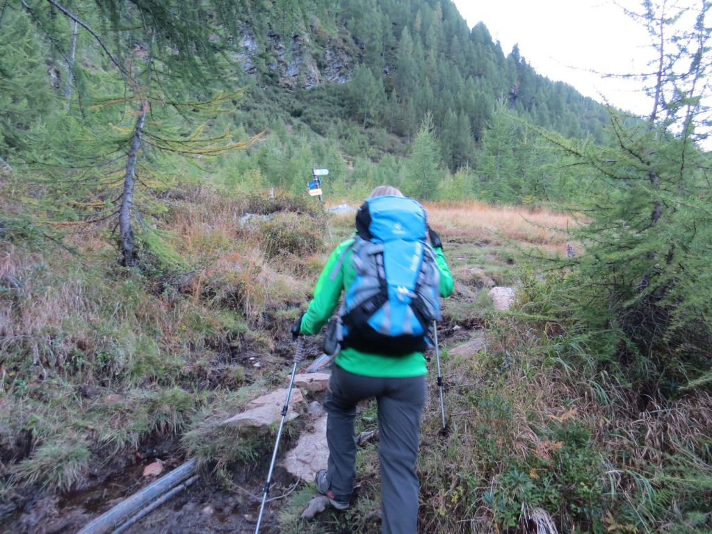 auf einfachem Wanderweg hinauf zur Cascina Nuova